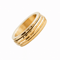 Astrid Double Spinner Anxiety Ring