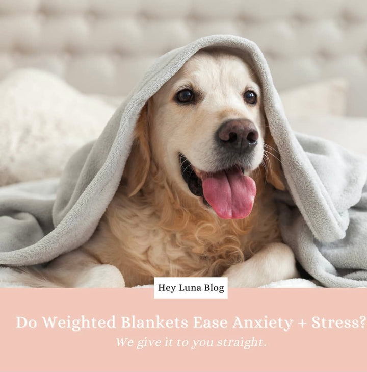 Do Weighted Blankets Really Ease Anxiety And Stress?