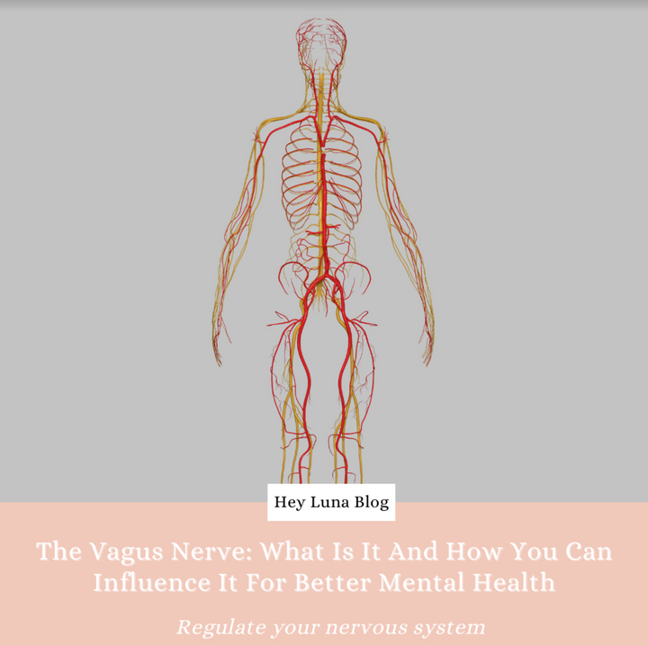 The Vagus Nerve: What It Is and How You Can Influence It For Better Health