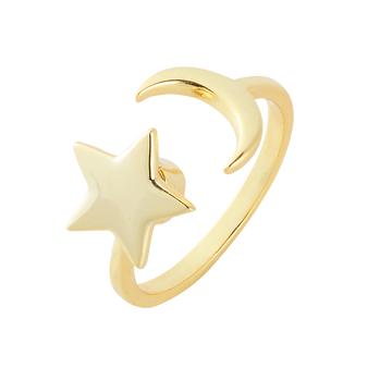 Moon and Star Spinner Ring - 925 SS