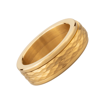 Lisa Double Spinner Anxiety Ring